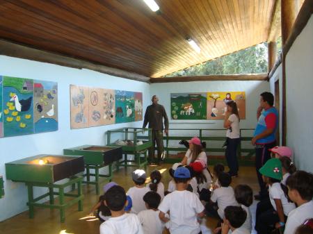 SaÃdas Pedagógicas
